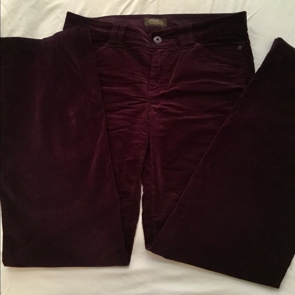 Eddie Bauer Purple Velvet Pants Size 10L